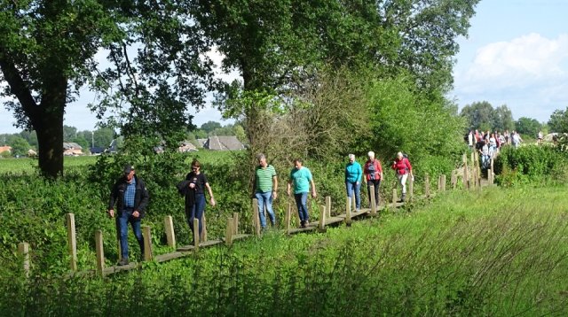 Singels en essen wandeltocht (zondag  9 juni 2024)